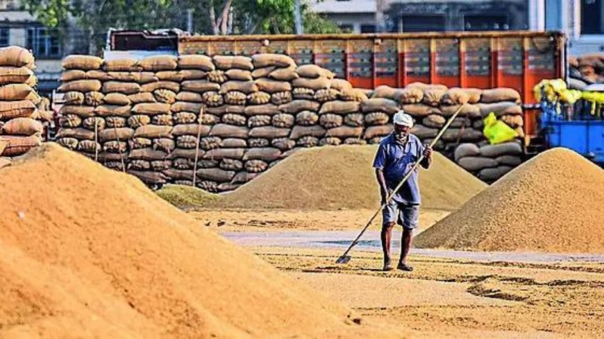 Haryana elections: Ties worsen as Congress claims AAP-BJP plot for farm crisis