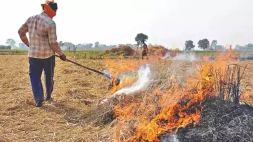 Stubble burning: SC slams Haryana, Punjab on air pollution, summons chief secretaries