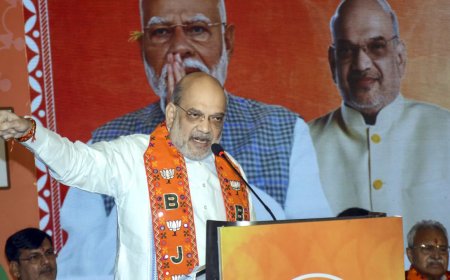 Amit Shah joins NDA huddle to chalk out plans for Maharashtra, Jharkhand polls