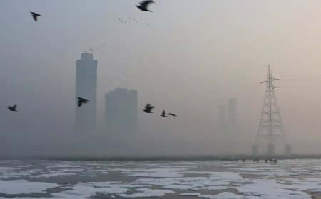 India's 10 most polluted cities in October all in NCR