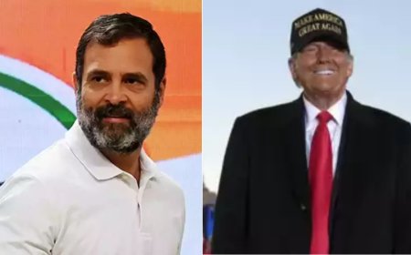 Rahul Gandhi congratulates Donald Trump on election win, wishes Kamala Harris 'all the best'