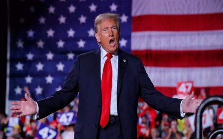 VHP congratulates President-elect Donald Trump on US elections, hopes for stronger US-India ties