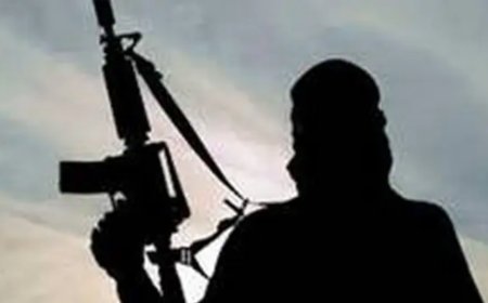 Two Pakistan terrorists killed in North Kashmir