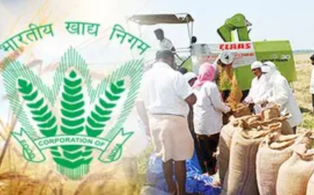 Government to pump Rs 10k cr into FCI to help with working capital need