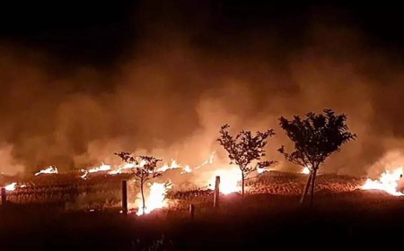 Centre doubles fines for stubble burning
