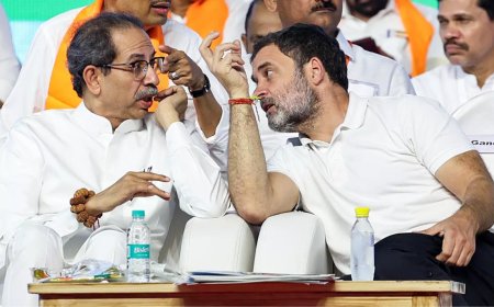 'No friendly fights in MVA': Congress suspends all rebel candidates for 6 years