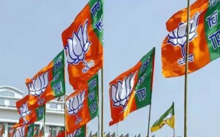 BJP MLAs marshalled out in J&K assembly bedlam over Article 370