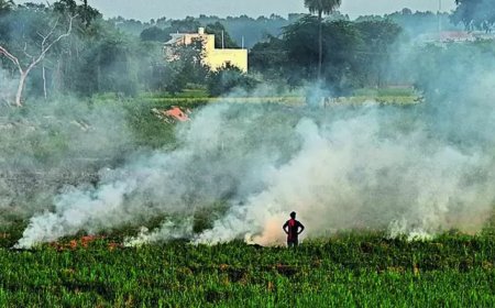Centre doubles penalty for stubble burning