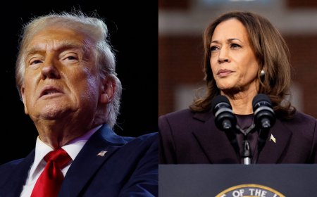 'Confident our nations will deepen cooperation': Rahul Gandhi's message for Donald Trump, Kamala Harris after US election results