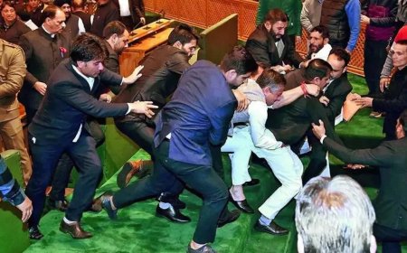 Watch: Ruckus in J&K assembly over Article 370 continues for the third day