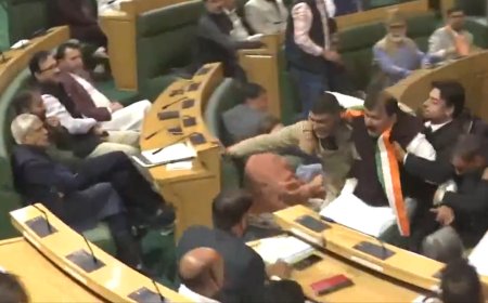 Watch: Ruckus in J&K assembly continues for 3rd day; BJP MLAs storm well of House