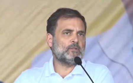 'BJP wants to snatch 'Jal, Jameen, Jungle' from tribals,' says Rahul Gandhi at Jharkhand rally