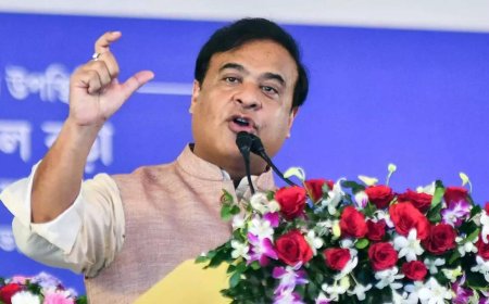 Rahul like unguided missile, urge Sonia Gandhi to coach him: Himanta Biswa Sarma