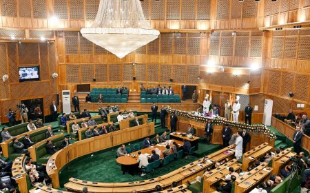 Article 370 protests: BJP MLAs hold ‘parallel session’ after evictions