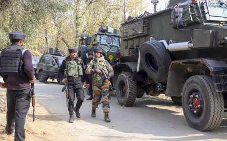J&K forces kill terrorist duo, find bodies of 2 slain village guards near rivulet