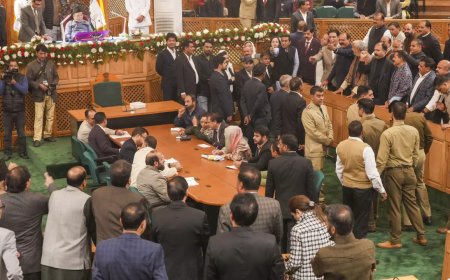 Lone, others present fresh 370 resolution