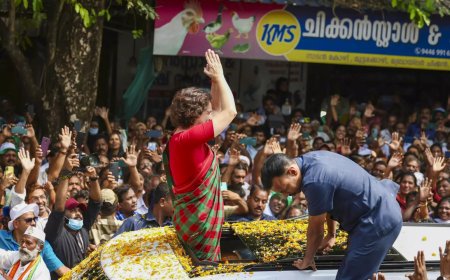 Priyanka Gandhi contesting with help of Jamaat-e-Islami: Kerala CM