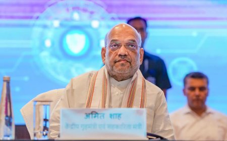 Agencies agree to use UAPA judiciously to avoid misuse