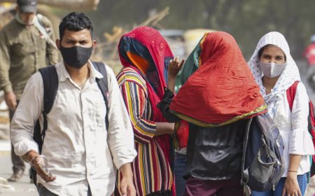 MP experienced extreme weather events on 176 days, the most in the country