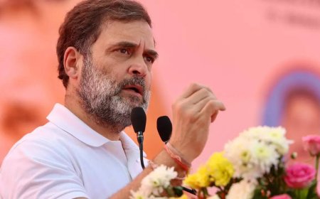 'In Maharashtra soon': Rahul Gandhi's challenge to PM Modi as Telangana caste census begins