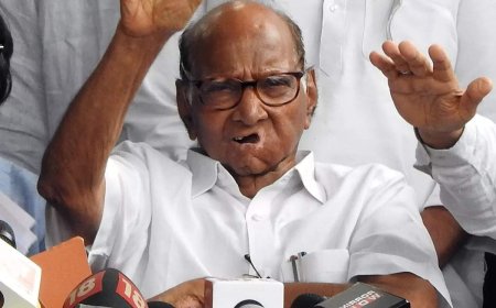 Sharad Pawar criticizes Maharashtra government over NCP split and farmer policies, urges defeat of 'bullying' leaders