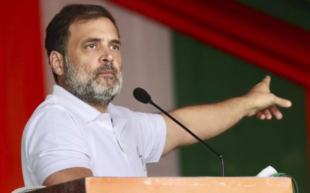 Politics of hate, violence, anger behind crashing economy: Rahul Gandhi