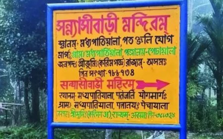 ‘Bhavan katham asti?’ Sanskrit finds new life in Assam’s border villages