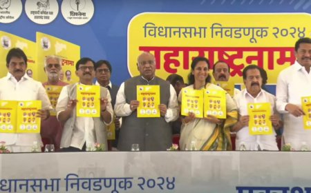 Caste census, Rs 3000 for women: Kharge unveils MVA's manifesto for Maharashtra polls