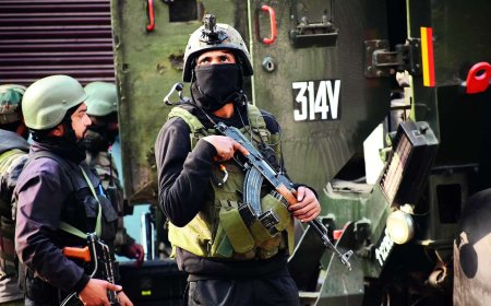 JCO dies in operation to track down J&K VDG killers