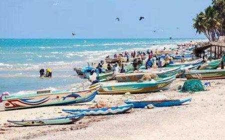 Lankan navy apprehends 23 Rameswaram fishermen