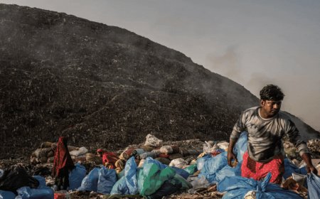 Is a ‘green’ revolution poisoning India’s capital?