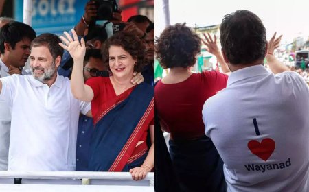 'Never used it for years': Rahul Gandhi on what inspired him to bring 'love' into politics