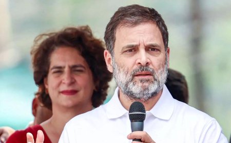 BJP complains to EC over Rahul Gandhi's 'Constitution is in danger' comment