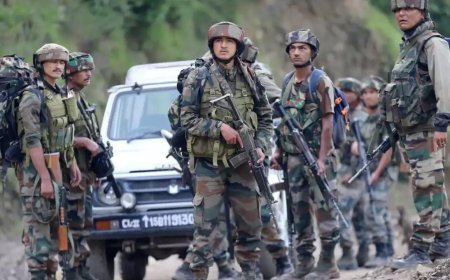 Drones, dogs assist search op in Kishtwar forests for Jaish terrorists