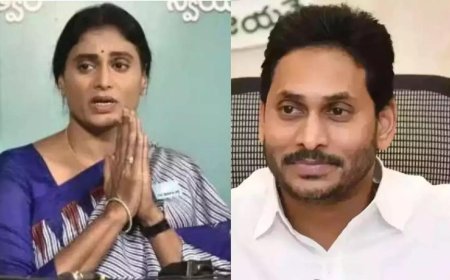 'Jagan encouraged indecent posts against me': Sharmila targets brother over social media attack