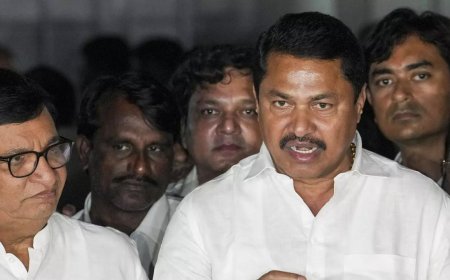'Said nothing wrong': Congress chief Nana Patole defends his 'dog' jibe at BJP