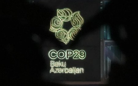 COP29 gets momentum with consensus on creation of carbon credits standards, India wants to conclude work on carbon market