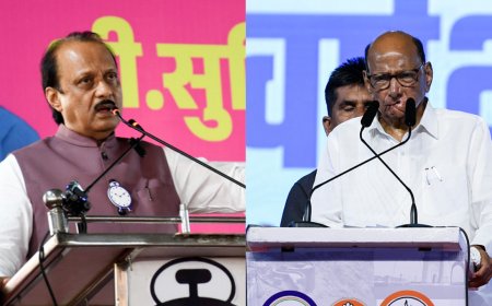 'Stand up on your legs': SC snubs Ajit Pawar's NCP over use of Sharad Pawar's photos in poll campaign