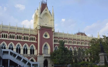 Freedom of expression isn’t a right to abuse: Calcutta HC