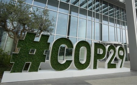 Find $1 trillion/year for developing world by 2030, COP29 told