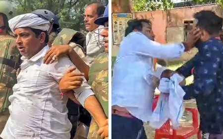 SDM slap row: Rajasthan independent candidate Naresh Meena sent to 14-day judicial custody