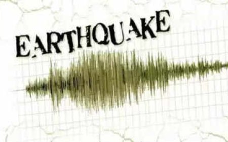 Earthquake of 4.2 magnitude jolts Gujarat's Mehasana