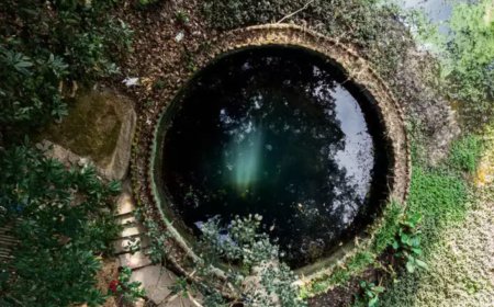 In Dantewada, dreams of liquid gold turn to dust