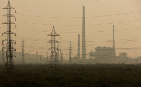 Nepal's power starts flowing to Bangladesh through Indian grid