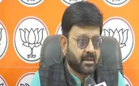 Jharkhand govt provided ID proofs to infiltrators, interests of tribals encroached: BJP Spokesperson Pratul Shah Deo