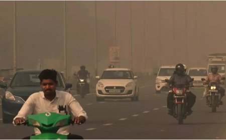 Haryana government orders closure of schools till class 5 amid rising air pollution
