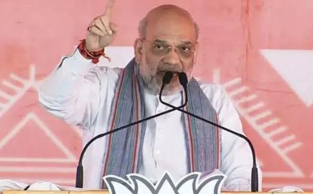 Jharkhand government allowing Bangladeshi infiltrators to marry tribals: Amit Shah in Dumka