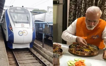 'Dear PM Modi, imagine being served cockroaches': Congress MP Manickam Tagore after insects found in Vande Bharat meal