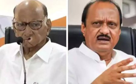 Ajit Pawar defends split with Sharad Pawar, says left saheb as MLAs wanted to join govt to restart stalled development works