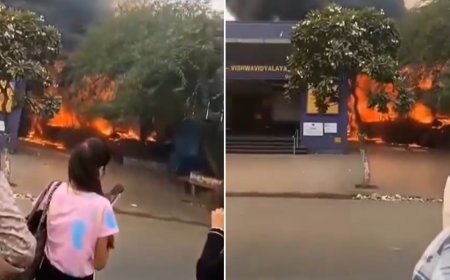 Video: Massive fire at popular food van near Delhi Metro station